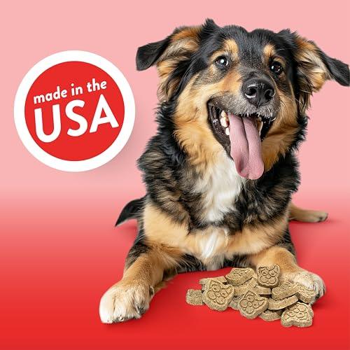 Spunky Pup A Pizza My Heart Crunchy Dog Biscuit Treats, 10 oz - Exotic Pro