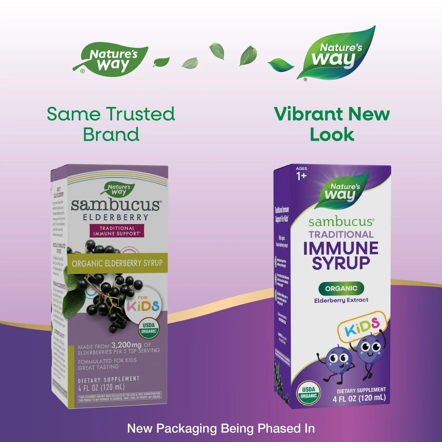 Nature's Way Sambucus Kids Immune Syrup – Organic Elderberry, 4 Fl Oz - Exotic Pro