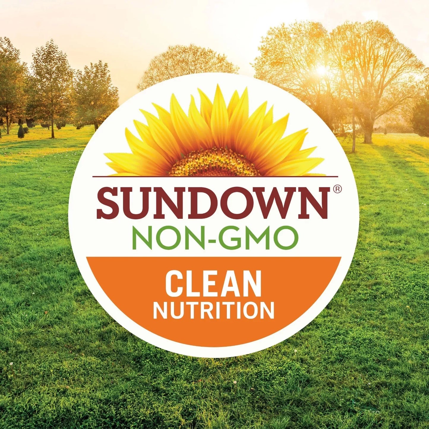 Sundown Vitamin C Gummies – Immune Support with Rose Hips & Bioflavonoids, 90ct - Exotic Pro